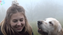 Humanitarna šetnja pasa