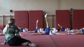 Kinezološki fakultet