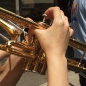 Šarena vojska zdravlja